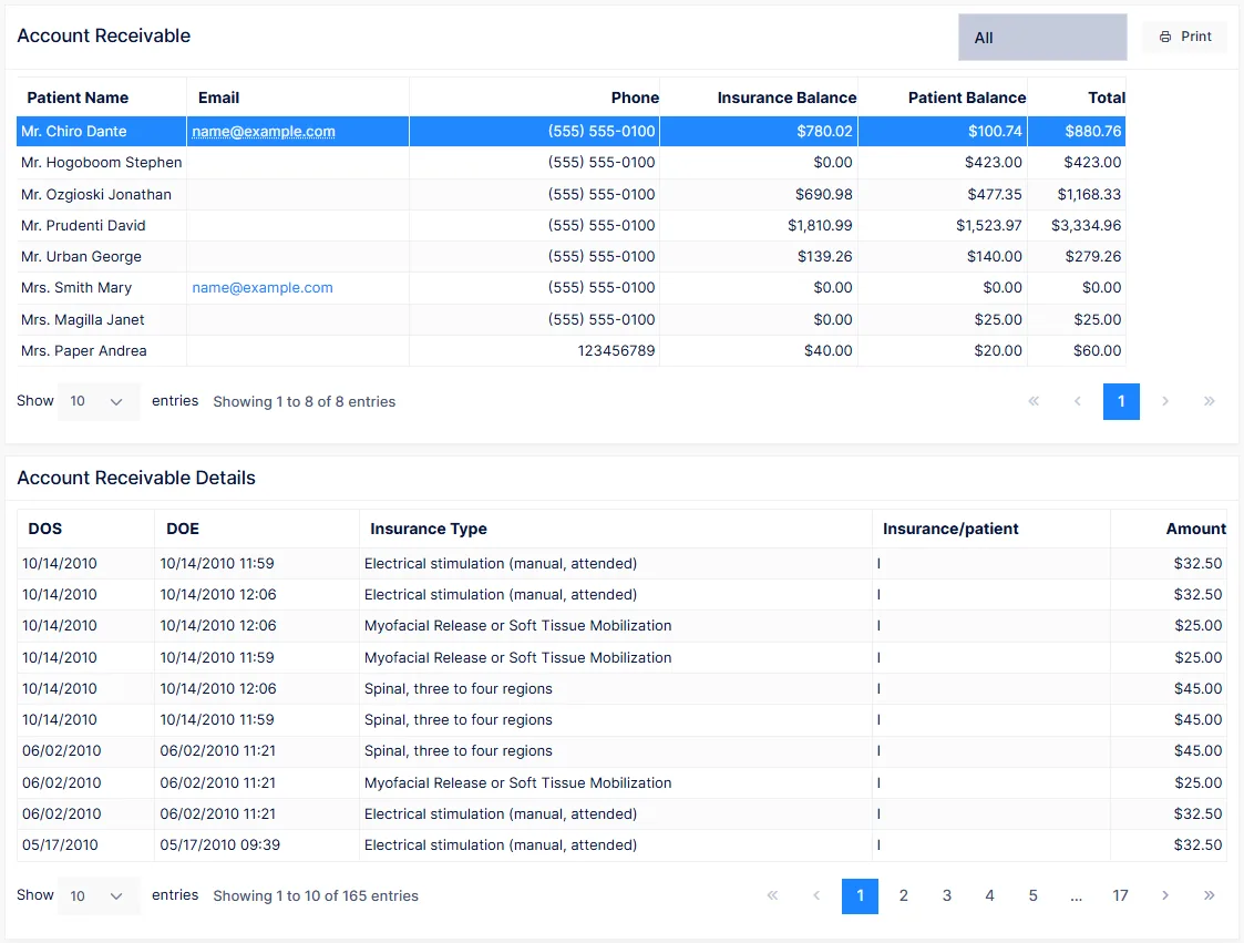 The Account Receivable report with the details panel beneath it